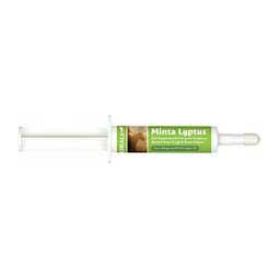 Minta Lyptus Paste for Horses  Oralx Corp